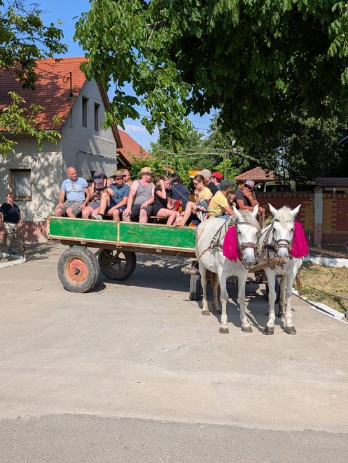 Arbeit ejw 13.jpeg